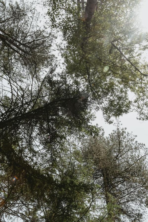 Boshuisje Rekem - Boris Lanaken Dış mekan fotoğraf